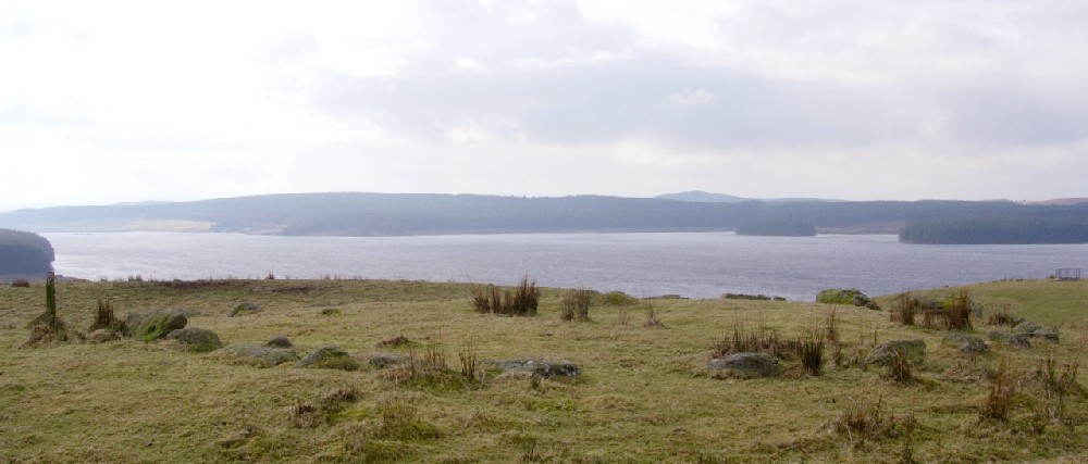 Click for the gallery page to add comments and vote (PID:19117) Brenig 8