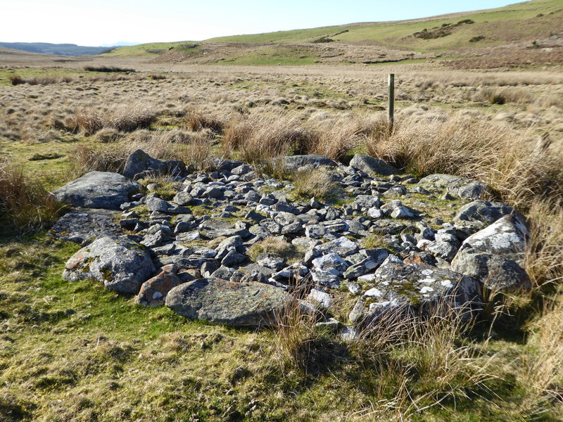 Brenig 6