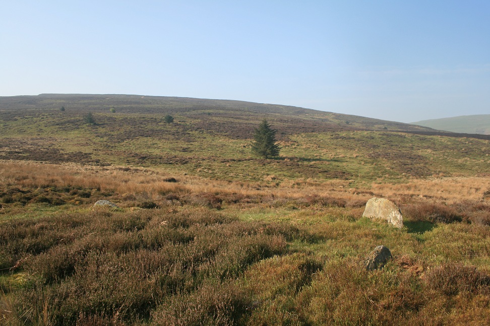 Nant Croes Y Wernen