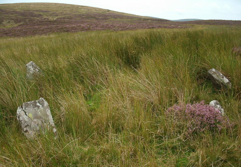 Click for the gallery page to add comments and vote (PID:144136) Cerrig Bwlch Y Fedw