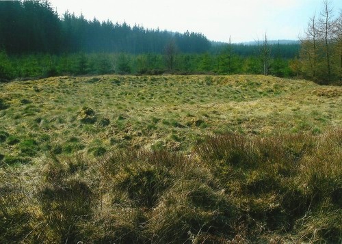 Capel Hiraethog ring cairn