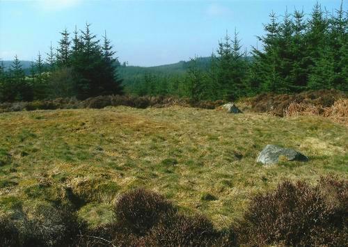 Click for the gallery page to add comments and vote (PID:102566) Capel Hiraethog III