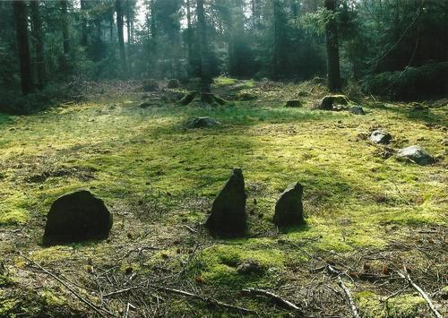 Click for the gallery page to add comments and vote (PID:102569) Bryn Beddau Stone Circle