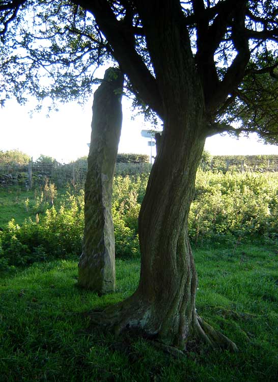 Click for the gallery page to add comments and vote (PID:25347) Careg y Big (Llangollen)