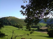 Dinas Bran