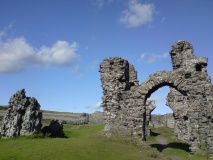Dinas Bran