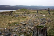 Brenig 44 - PID:34452