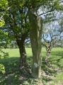 Careg y Big (Llangollen) - PID:289354
