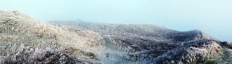 Foel Fenlli - PID:57779