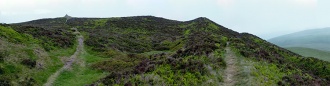 Foel Fenlli - PID:57778