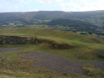 Dinas Bran