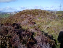 Llyn Cyfynwy Round Cairn
