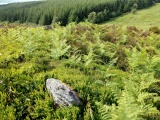 Nant Croes Y Wernen - PID:228967