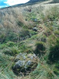Cwm Maen Gwynedd Stone Row II