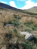 Cwm Maen Gwynedd Stone Row I