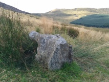 Cwm Maen Gwynedd Stone Row I - PID:277074