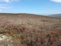 Plasnewydd Round Cairns