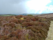 Nant-Y-Bache
