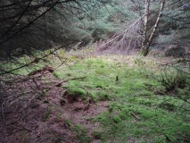Ffynnon Las