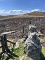 Moel Fferna Standing Stone - PID:289355
