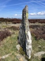 Moel Fferna Standing Stone - PID:289357