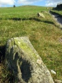 Moel Ty Uchaf - PID:33950