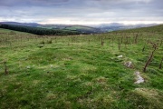 Moel Ty Uchaf