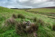 Moel Ty Uchaf