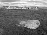Moel Ty Uchaf - PID:33951