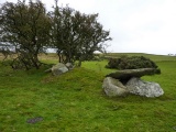 Moel Ty Uchaf - PID:53151