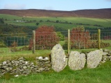 Moel Ty Uchaf - PID:53153