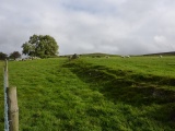 Moel Ty Uchaf - PID:53154