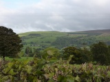Moel Ty Uchaf - PID:53156