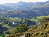 Dinas Bran - PID:204491