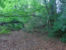Y Gardden Camp