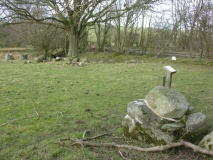 Bwrdd y Tri Arglwydd