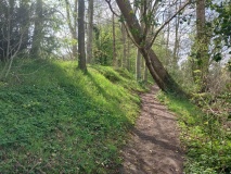 Wat's Dyke, Henlle Hall