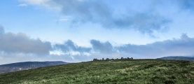 Moel Ty Uchaf - PID:219830