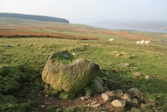 Brenig 47