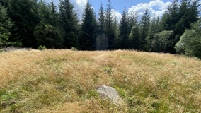 Capel Hiraethog III