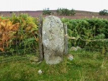 Eglwyseg Mountain
