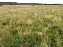 Eglwyseg Kerb Cairn A