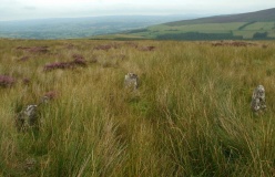 Cerrig Bwlch Y Fedw