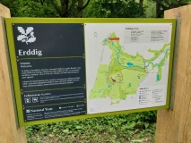 Wat's Dyke, Erddig (Big Wood)