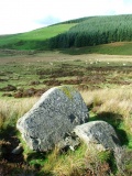 Maen Cleddau