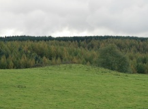 Maes Maelor