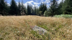Capel Hiraethog III