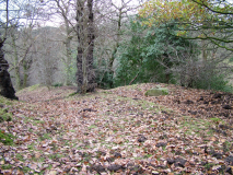 Bryn Alyn