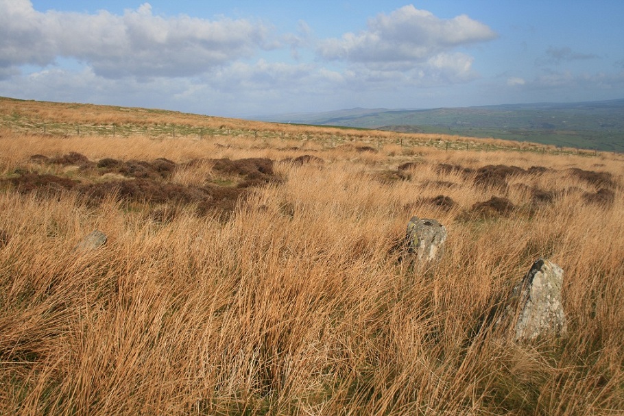 Cerrig Bwlch Y Fedw