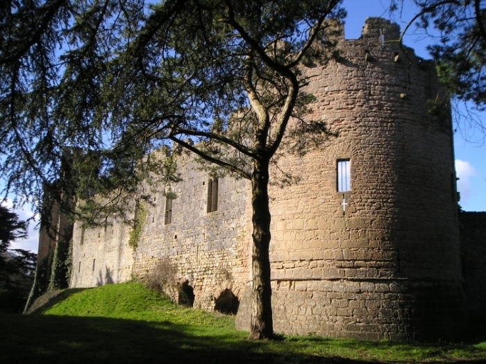 Caldicot Castle
